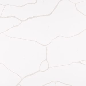 MSI Quartz - Calacatta Classique