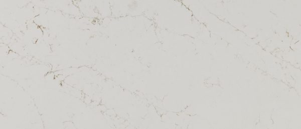 MSI Quartz - Calacatta Delios