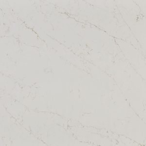 MSI Quartz - Calacatta Delios