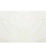 MSI Quartz - Calacatta Elysio
