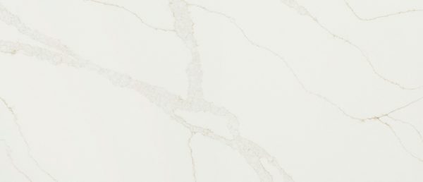 MSI Quartz - Calacatta Elysio