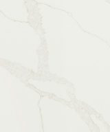 MSI Quartz - Calacatta Elysio