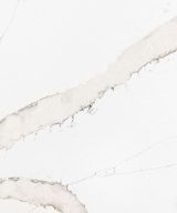 MSI Quartz - Calacatta Goa
