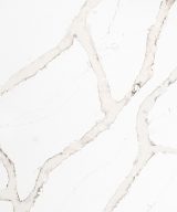 MSI Quartz - Calacatta Goa