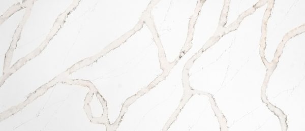 MSI Quartz - Calacatta Goa