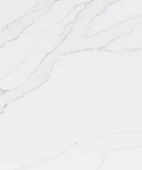 MSI Quartz - Calacatta Izaro
