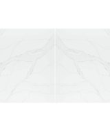 MSI Quartz - Calacatta Izaro