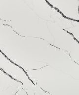 MSI Quartz - Calacatta Laza Night