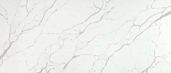 MSI Quartz - Calacatta Laza