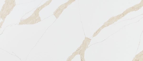MSI Quartz - Calacatta Leon Gold