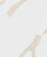 MSI Quartz - Calacatta Leon Gold