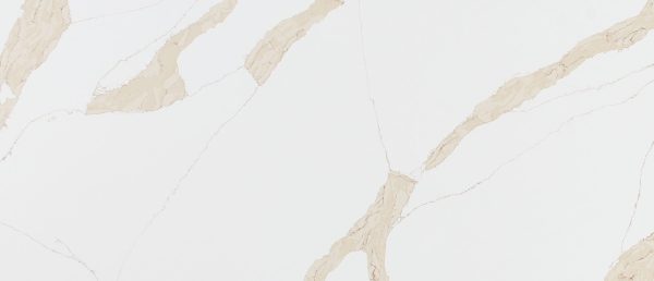 MSI Quartz - Calacatta Leon Gold