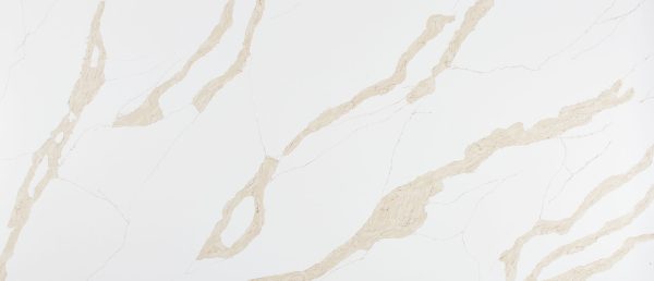 MSI Quartz - Calacatta Leon Gold