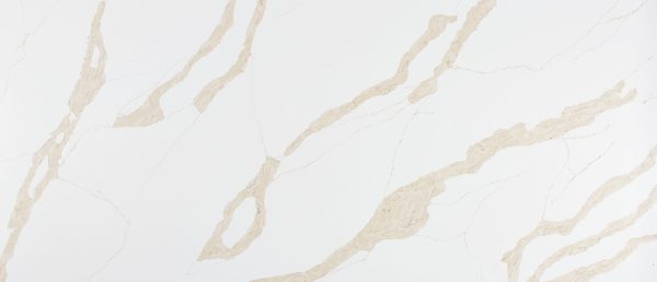 MSI Quartz - Calacatta Leon Gold