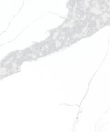 MSI Quartz - Calacatta Leon