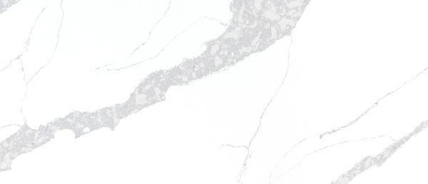 MSI Quartz - Calacatta Leon