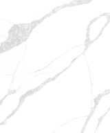 MSI Quartz - Calacatta Leon