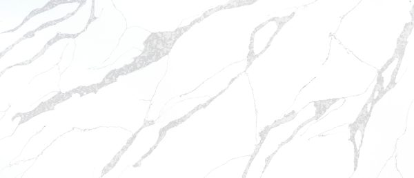 MSI Quartz - Calacatta Leon