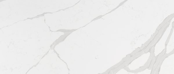 MSI Quartz - Calacatta Luccia