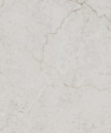 MSI Quartz - Calacatta Miraggio Cove