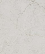 MSI Quartz - Calacatta Miraggio Cove