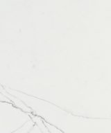 MSI Quartz - Calacatta Trevi
