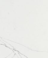 MSI Quartz - Calacatta Trevi