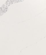MSI Quartz - Calacatta Venice
