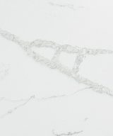 MSI Quartz - Calacatta Verona