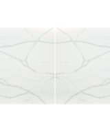MSI Quartz - Calacatta Verona
