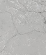 MSI Quartz - Calacatta Versailles