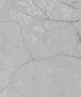 MSI Quartz - Calacatta Versailles