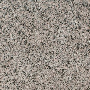MSI Granite Countertops - Caledonia