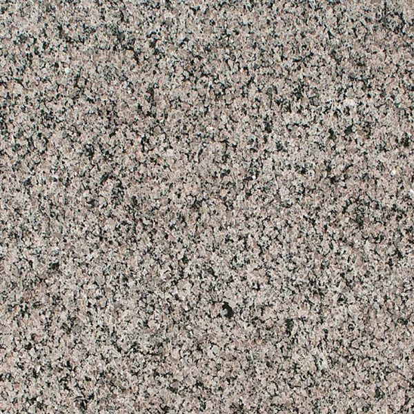 MSI Granite Countertops - Caledonia