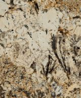 MSI Granite Countertops - Caravelas Gold