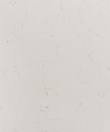 MSI Quartz - Carrara Trigato