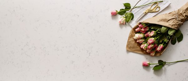 MSI Quartz - Cashmere Carrara