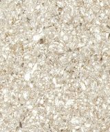 MSI Quartz - Chakra Beige