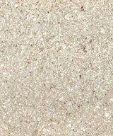 MSI Quartz - Chakra Beige