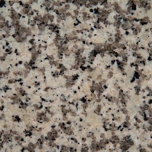 MSI Granite Countertops - Crema Atlantico