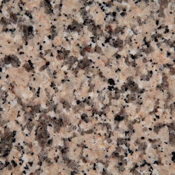 MSI Granite Countertops - Crema Caramel
