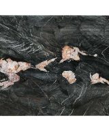 MSI Quartzite Countertops - Crytos