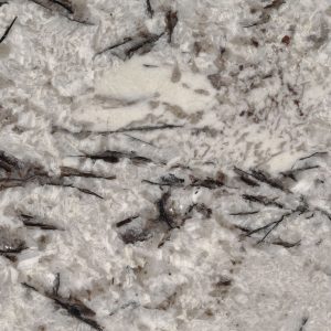 MSI Granite Countertops - Delicatus White