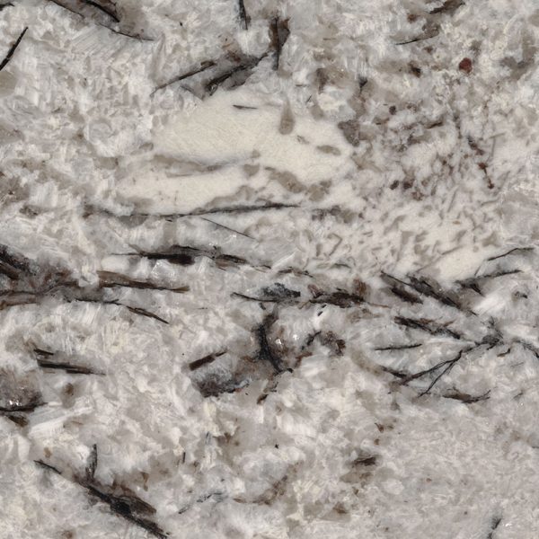 MSI Granite Countertops - Delicatus White
