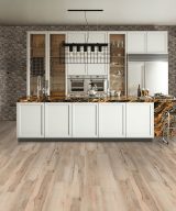 MSI Granite Countertops - Desert Dream