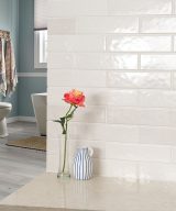 MSI Porcelain & Ceramic Wall Tile Renzo Dove 3x12