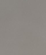 MSI Quartz - Fossil Gray