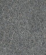 MSI Noir Ash Mini Pebble Tumbled