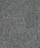 MSI Noir Ash Mini Pebble Tumbled