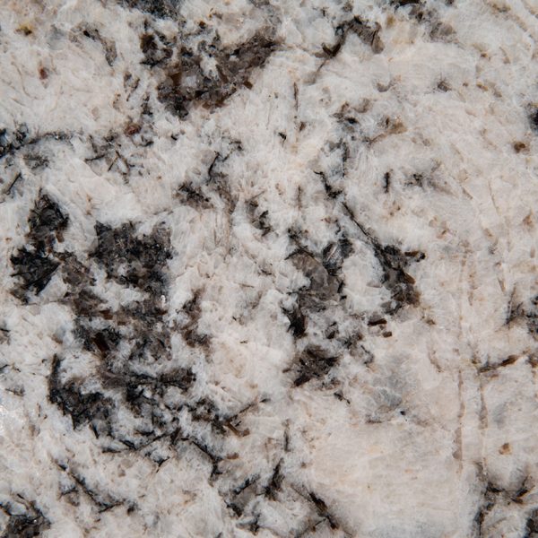 MSI Granite Countertops - Oyster White